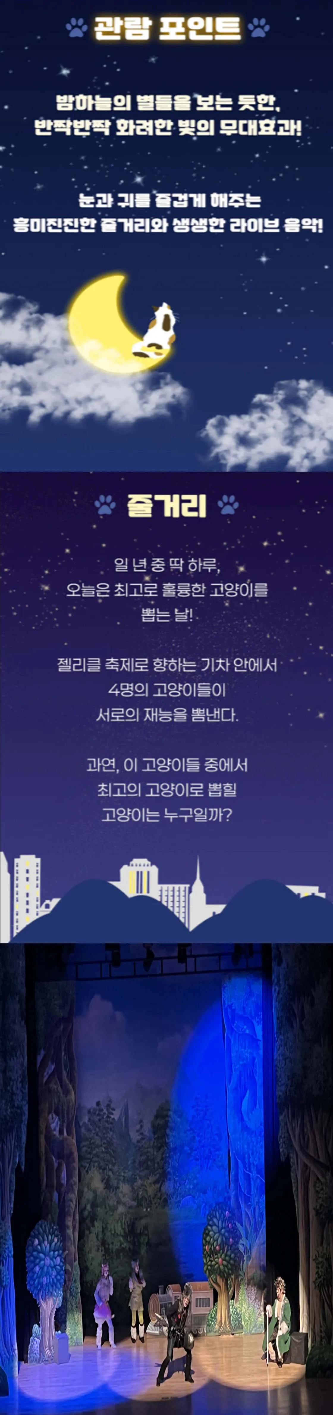 어린이 캣 [서울 관악] 상세 안내 이미지 2