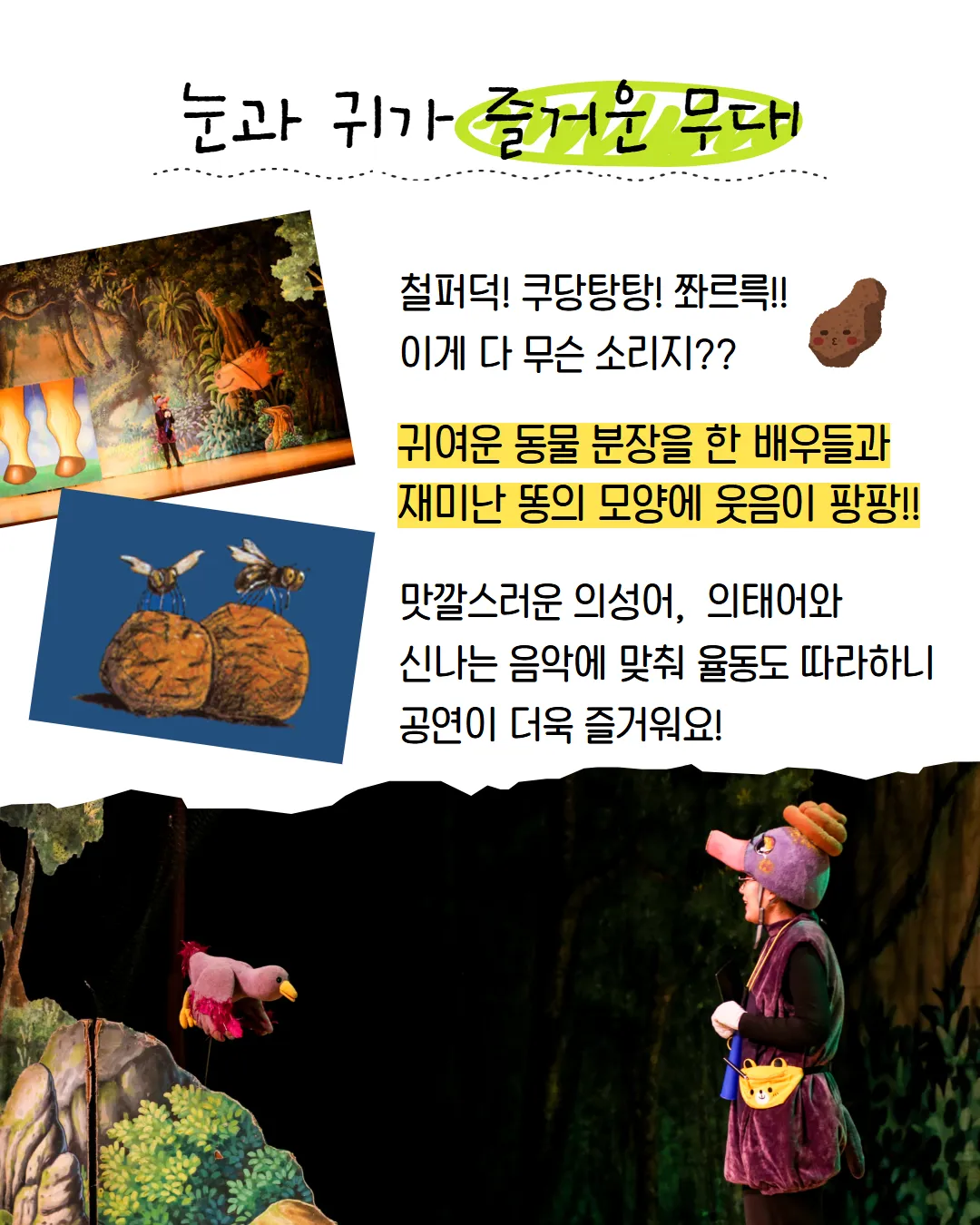 누가 내 머리에 똥쌌어? [횡성] 상세 안내 이미지 4