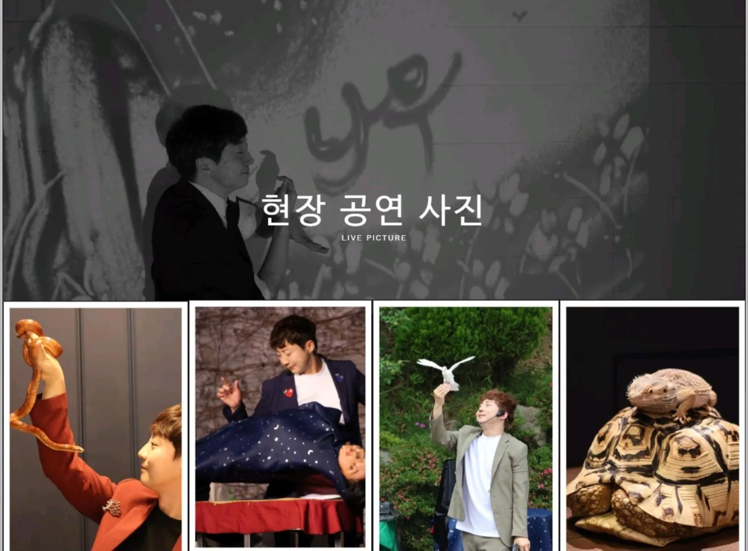 파충류 마술쇼 [서울 송파] 상세 안내 이미지 3