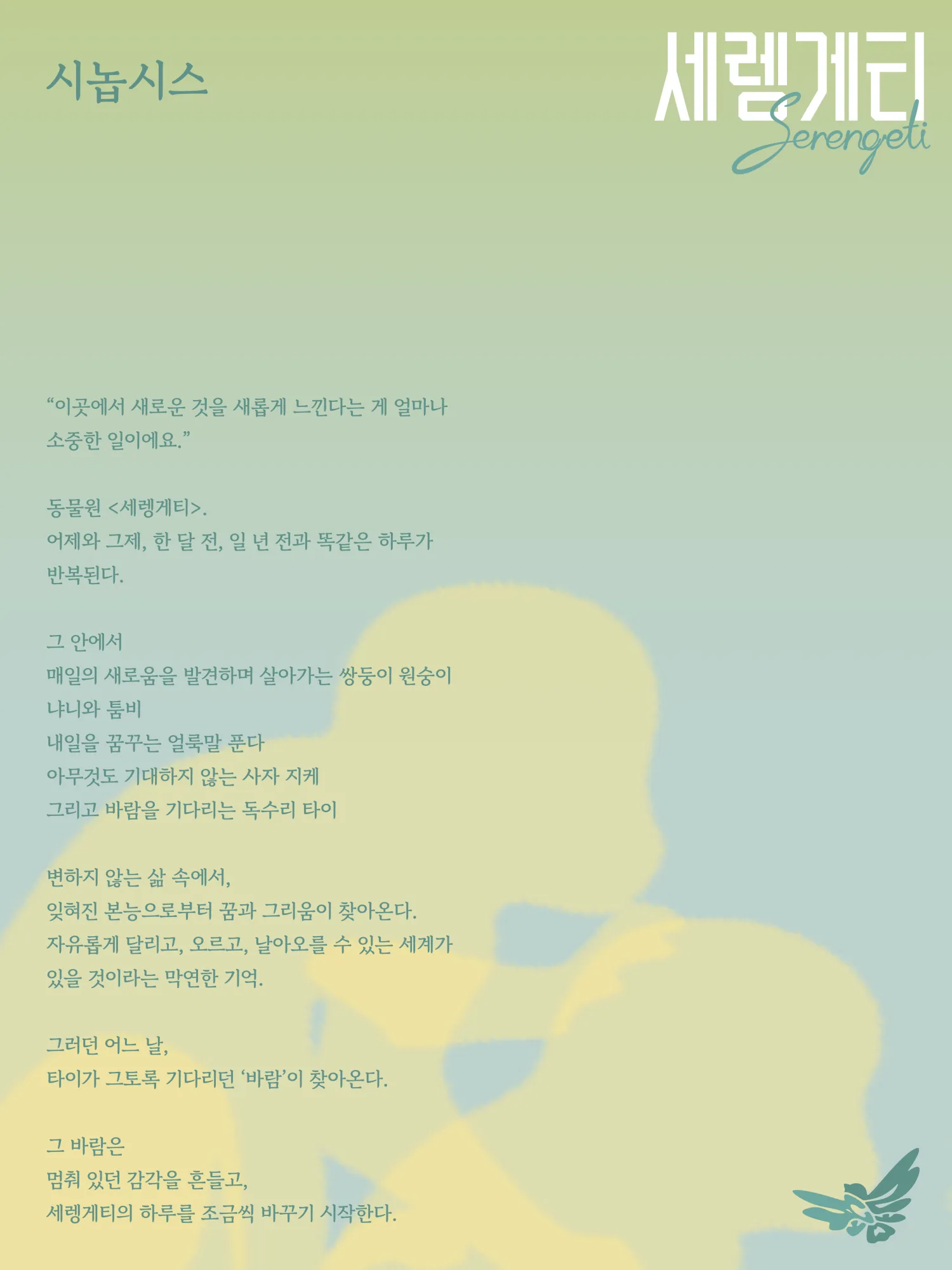 세렝게티 상세 안내 이미지 4