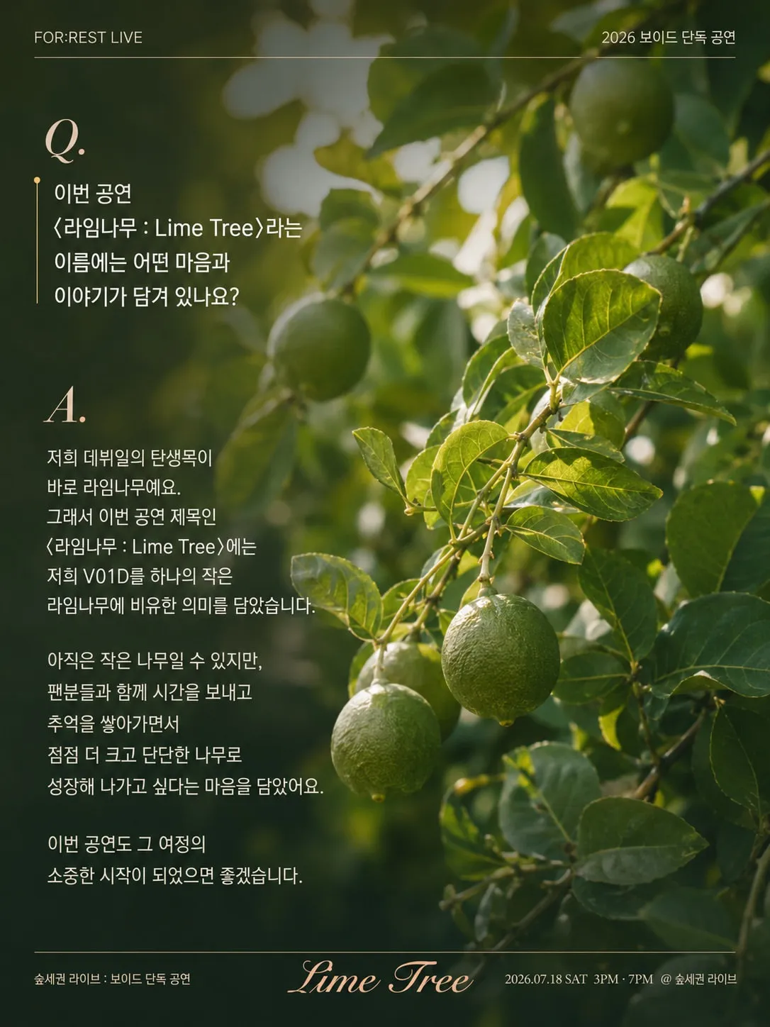 숲세권 라이브, 보이드 단독 공연: 라임나무 상세 안내 이미지 1