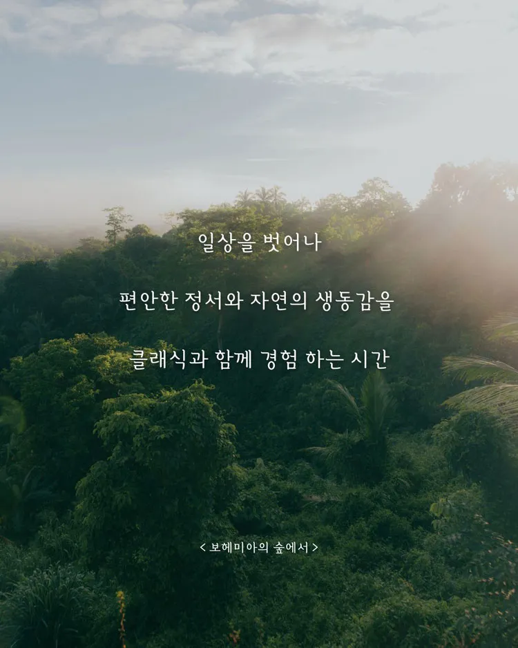 보헤미아의 숲 [세종] 상세 안내 이미지 2
