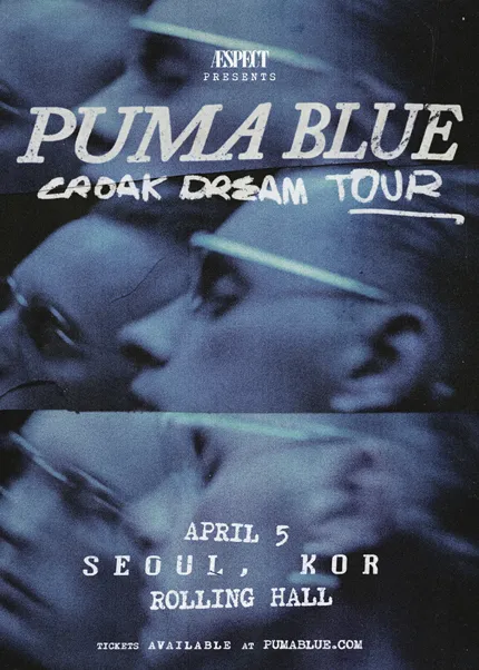 Puma Blue Live [서울] (롤링홀) 공식 포스터