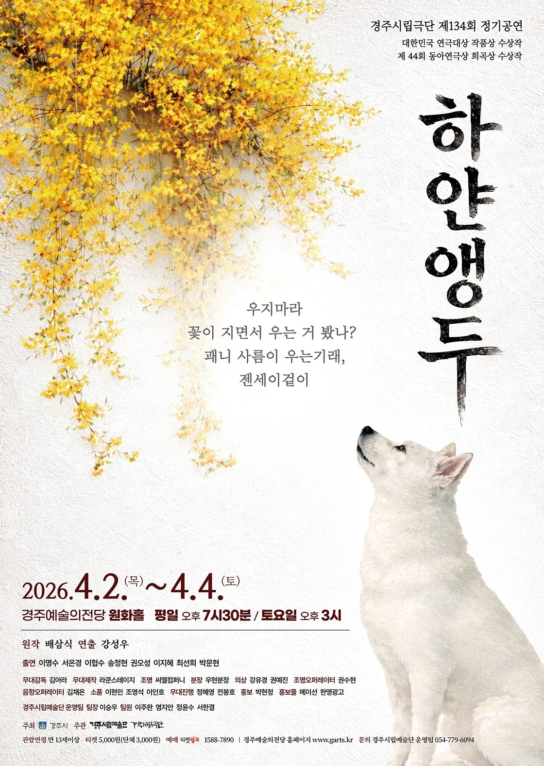 제134회 경주시립극단 정기공연: 하얀앵두 (경주예술의전당) 공식 포스터