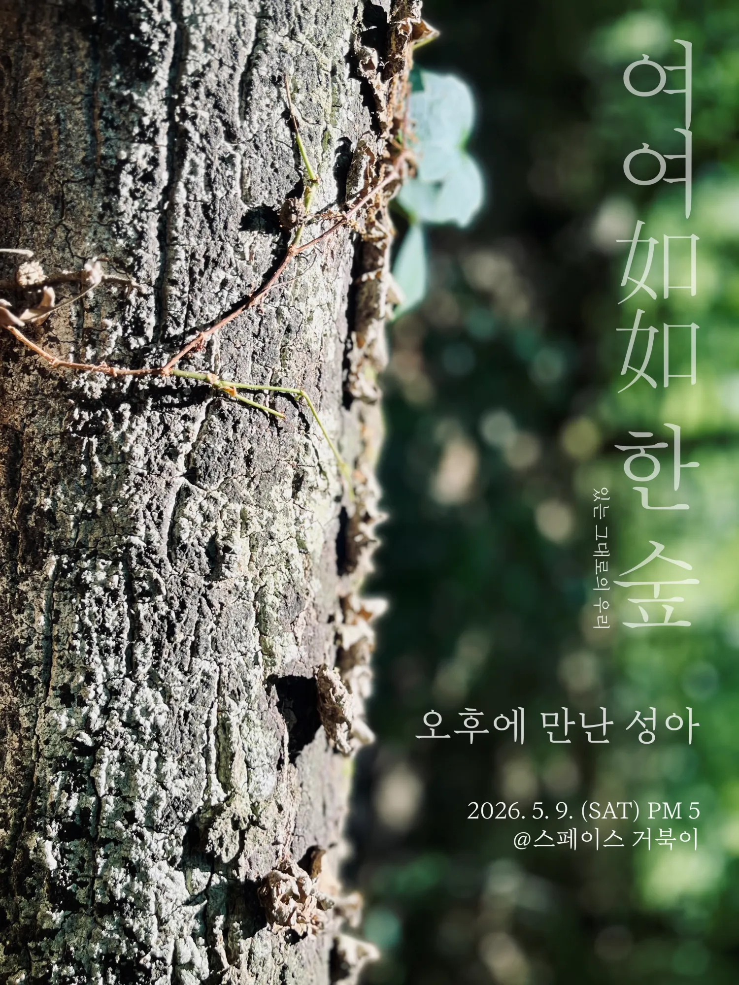 거북이 라이브, 여여如如 한 숲: 오후에 만난 성아 (스페이스 거북이) 공식 포스터