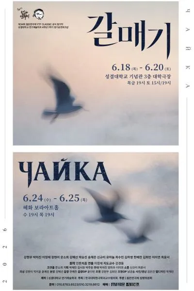 제34회 젊은연극제, 갈매기 (보라 아트홀(구. 지구인아트홀)) 공식 포스터